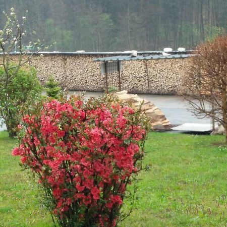 Haus Steirer Am Kaiserwald Unterpremstätten Exteriér fotografie