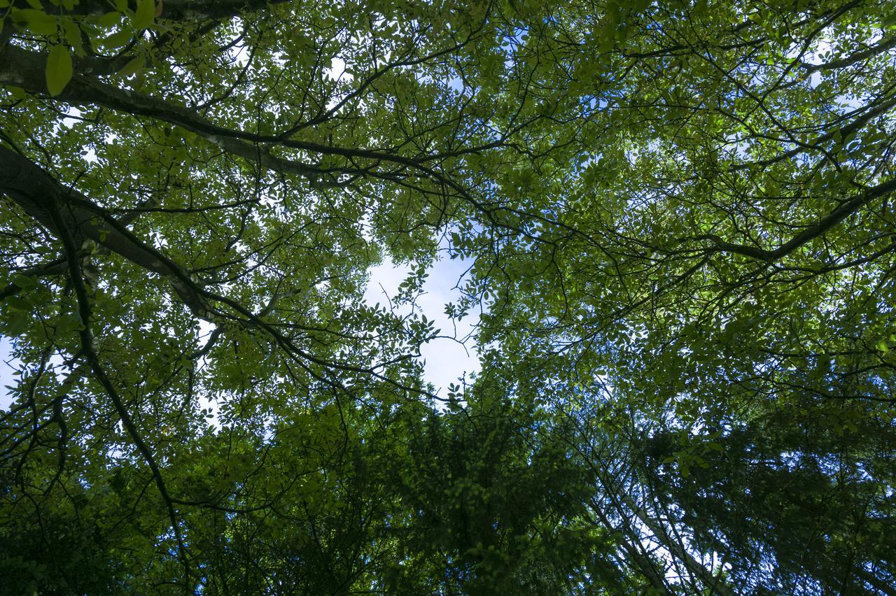 Haus Steirer Am Kaiserwald Unterpremstätten Exteriér fotografie