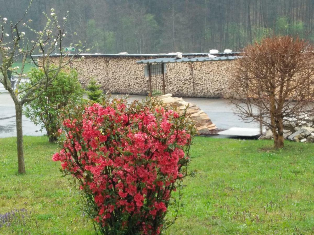 Haus Steirer Am Kaiserwald Unterpremstätten Exteriér fotografie