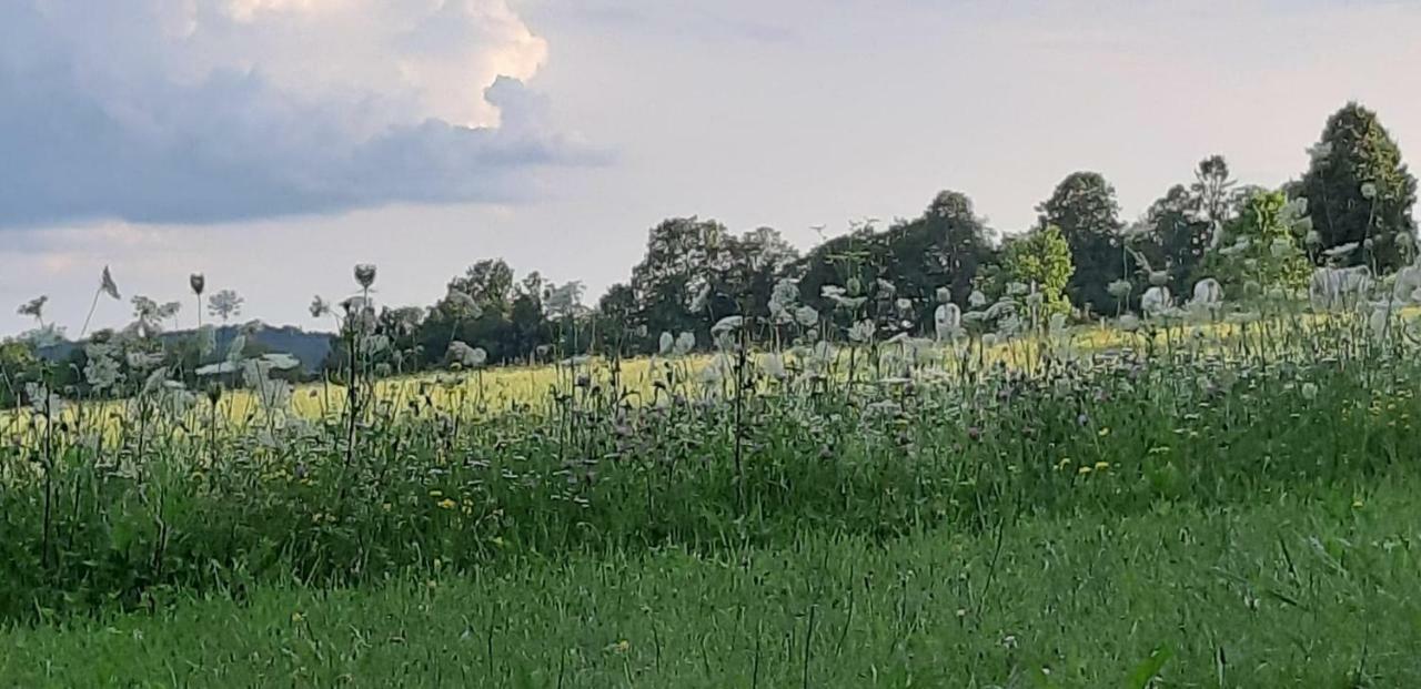 Haus Steirer Am Kaiserwald Unterpremstätten Exteriér fotografie